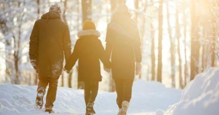Back view portrait of happy family holding hands enjoying walk in winter forest lit by sunlight